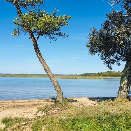 Maisonnette A 300 M Du Lac De Biscarrosse Bagian luar foto